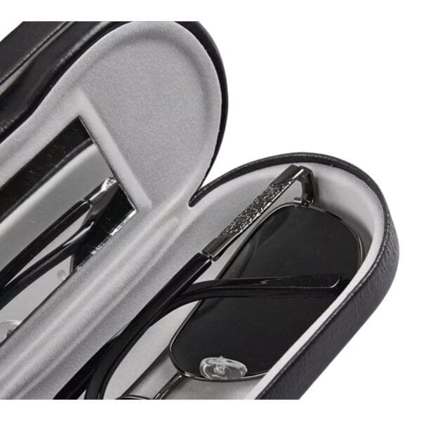 Dual Glasses Case