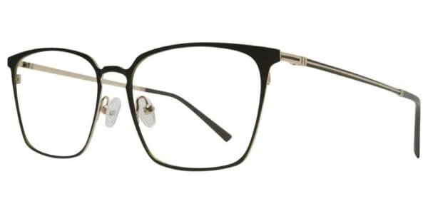 5249 - C1 Olive