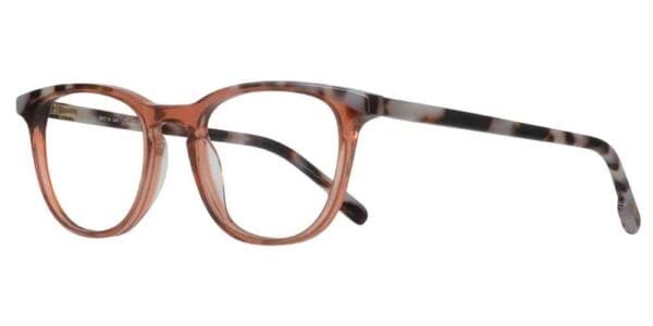 5253 - C2 Brown