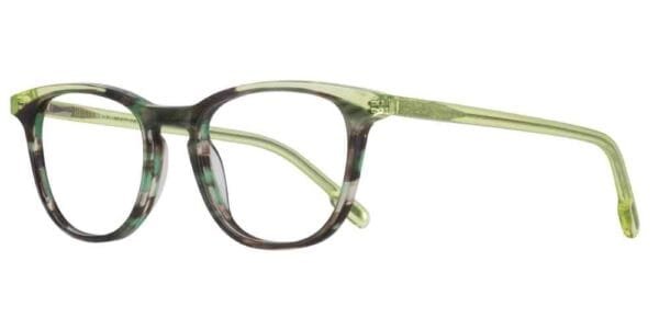 5253 - C3 Green