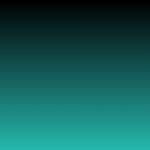 Black / Turquoise