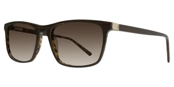 Paul Costelloe Sun 94 - C1 Brown