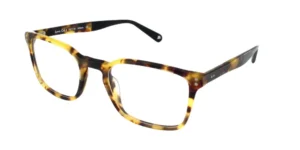 Lewis - C3 - Light Tort