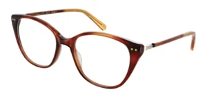 Simmons - C1 - Brown