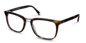 Turner - C1 - Brown Tort