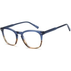 D263 Prescription Glasses